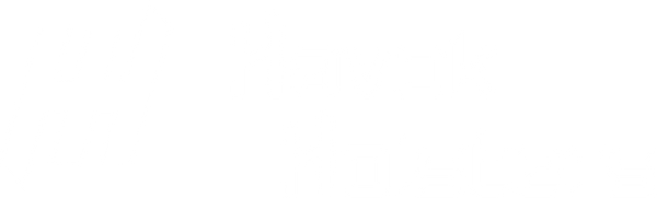 Havok Holsters